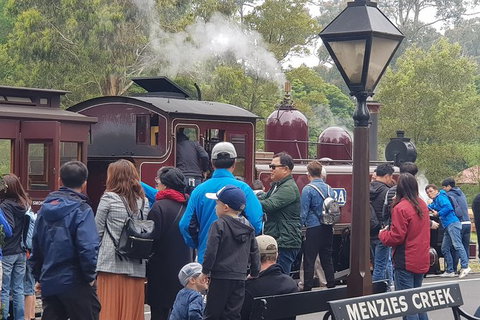 Day Tour Of Yarra Valley Puffing Billy And Rayners Orchard - Darwin Tourism 40