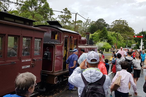 Day Tour Of Yarra Valley Puffing Billy And Rayners Orchard - Darwin Tourism 23