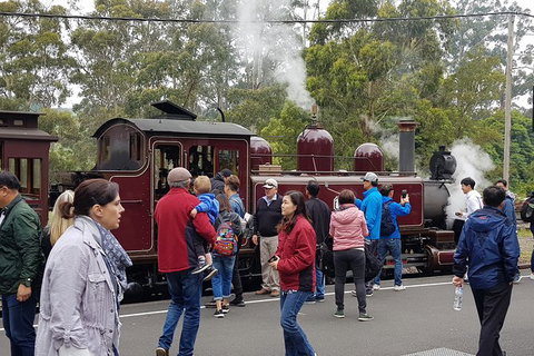 Day Tour Of Yarra Valley Puffing Billy And Rayners Orchard - Darwin Tourism 4
