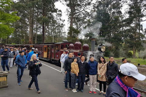 Day Tour Of Yarra Valley Puffing Billy And Rayners Orchard - Darwin Tourism 9