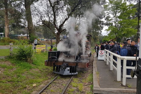 Day Tour Of Yarra Valley Puffing Billy And Rayners Orchard - Darwin Tourism 43