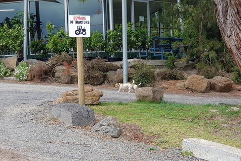 Day Tour Of Yarra Valley Puffing Billy And Rayners Orchard - Darwin Tourism 2