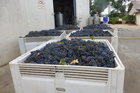 A Taste Of Margaret River Luxury Wine Tour - Darwin Tourism 3