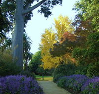 Albury Botanic Garden - Darwin Tourism