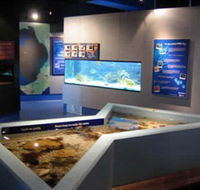 Marine and Freshwater Discovery Centre - Darwin Tourism
