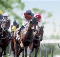 Colac Turf Club - Darwin Tourism