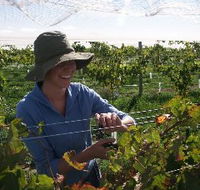 Kingsdale Wines - Darwin Tourism