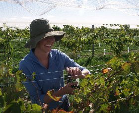 Kingsdale Wines - Darwin Tourism 0