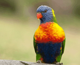 Booderee National Park - Darwin Tourism 1