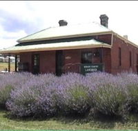 Lavender House in Railway Park - Darwin Tourism