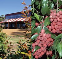 Bushfood Factory and Cafe - Darwin Tourism