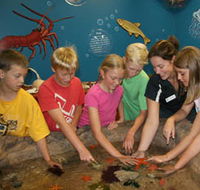Naturaliste Marine Discovery Centre - Darwin Tourism