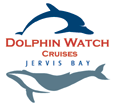 Dolphin Watch Cruises - Darwin Tourism 2