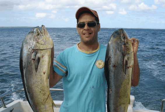 Jervis Bay Fishing And Charters - Darwin Tourism 0