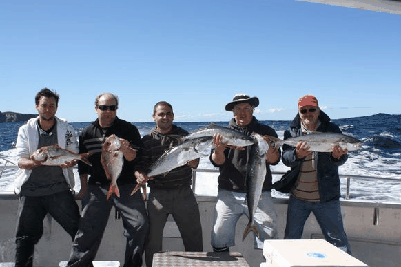 Jervis Bay Fishing And Charters - Darwin Tourism 2