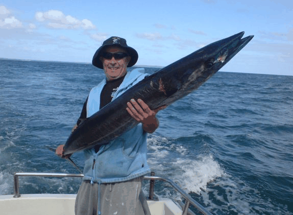 Jervis Bay Fishing And Charters - Darwin Tourism 4