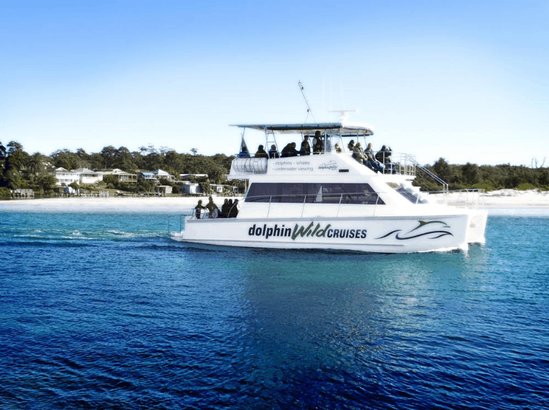 Dolphin Wild Cruises - Darwin Tourism 1