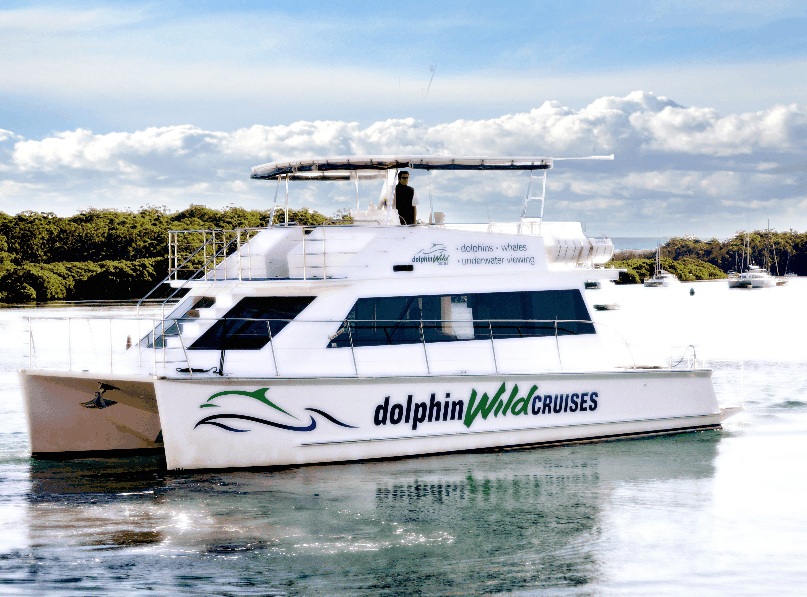 Dolphin Wild Cruises - Darwin Tourism 2