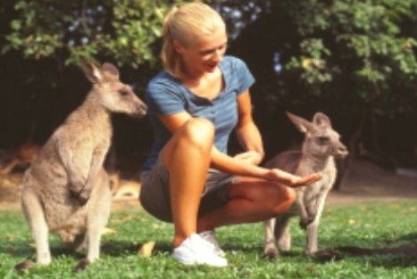 Jungle Tours And Trekking - Darwin Tourism 1