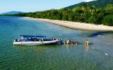 Cape Tribulation QLD Darwin Tourism