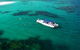 Ocean Safari - thumb 1