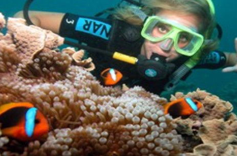 Ocean Spirit Cruises - Darwin Tourism 1