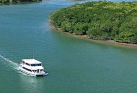 Cairns Harbour Cruises - Darwin Tourism 3