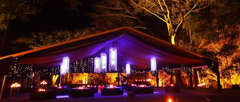 Flames Of The Forest - Darwin Tourism 0