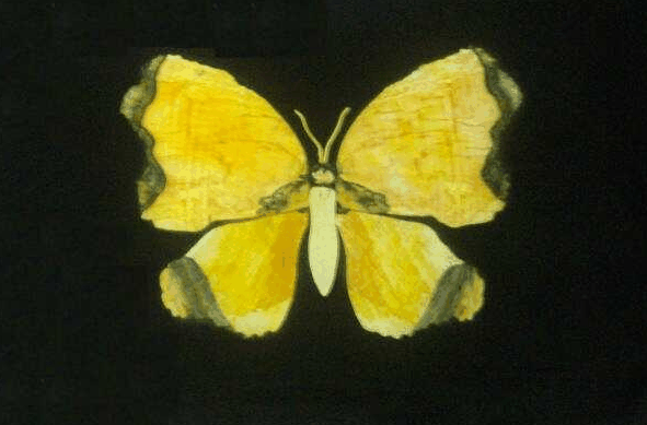 Book Home Hill QLD Attractions Darwin Tourism Darwin Tourism