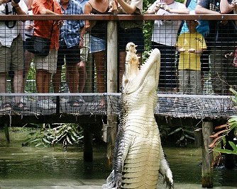 Wangetti QLD Darwin Tourism