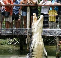 Hartley's Crocodile Adventures - Darwin Tourism