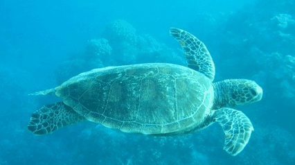 Tallship Adventures - Darwin Tourism 4