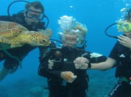 Brinsmead QLD Darwin Tourism