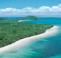 Reef and Rainforest Connections - Darwin Tourism