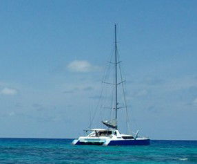Synergy Reef Sailing - Darwin Tourism 5