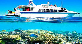 Reef Jet Cruises - Darwin Tourism 2