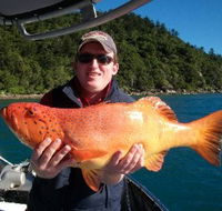Gone Fishing by Coral Sea Fishing Charters Airlie Beach - Darwin Tourism