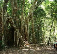 The Airlie Creek Track - Darwin Tourism