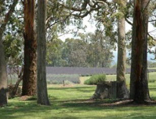 Glenlyon QLD Darwin Tourism