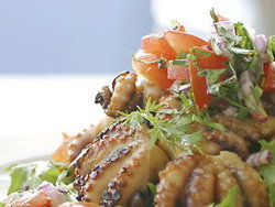 Nicks Bar And Grill - Darwin Tourism 0