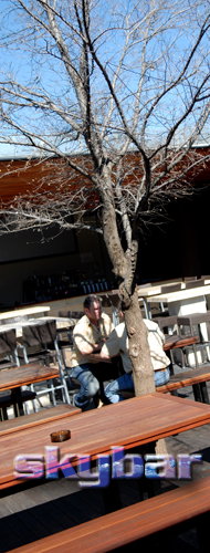 Alma Tavern - Darwin Tourism 2