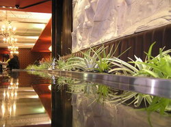 Terra Rossa - Darwin Tourism 2