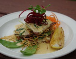 Bird In Hand Inn - Darwin Tourism 2