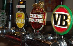 Bird In Hand Inn - Darwin Tourism 3