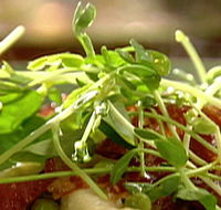 Wild Hearts Cafe Restaurant - Darwin Tourism