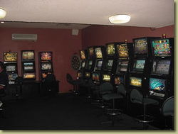 New Norfolk Hotel - Darwin Tourism 2