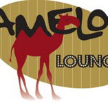 Camelot Lounge - Darwin Tourism