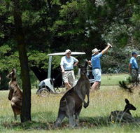 Glen Innes Golf Club - Darwin Tourism