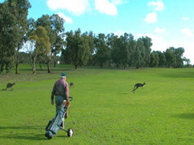 Louth Bay SA Darwin Tourism