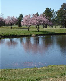 RMC Golf Club - Darwin Tourism 0